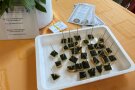 Brotwürfel mit grünlicher Paste und Zahnstocher auf einem Tablett