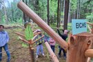 Eine Gruppe Kinder heftet Blätter an ein geschreinertes Holzgestell