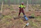 Mann pflanzt einen Baum