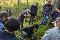 Eine Frau pflanzt einen Baum im Wald