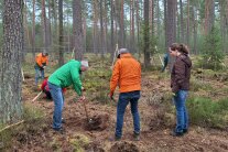 Mehrere Personen im Wald
