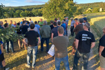 Personen stehen auf einem Feld