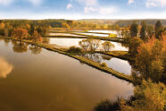 Teichlandschaft mit in herbstliches Rot getauchten Bäumen