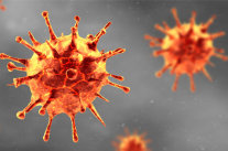 Corona Virus Darstellung 